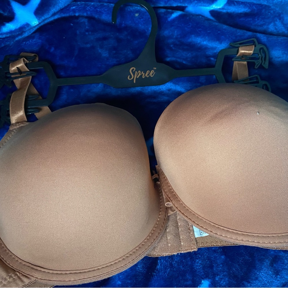 Women’s bra.